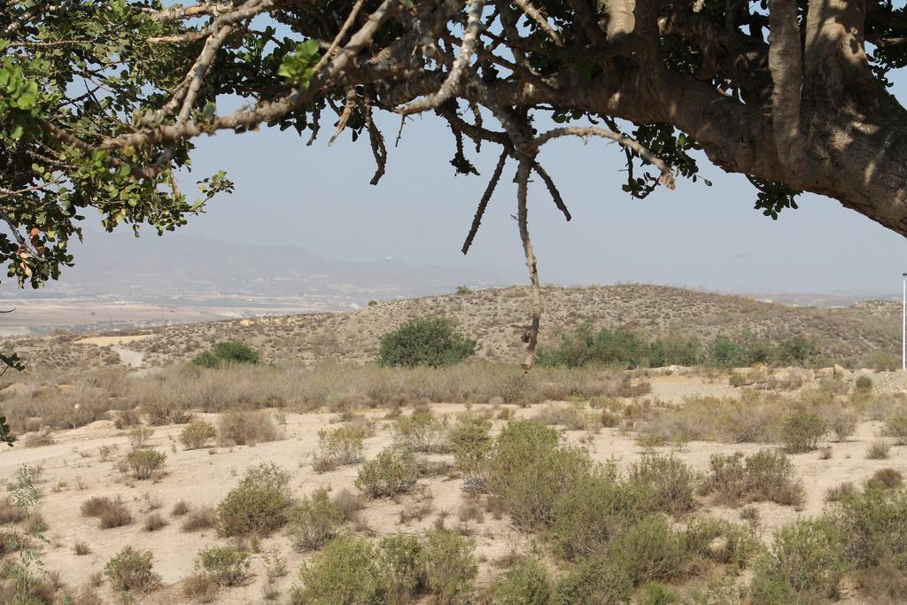Casa Alegria Mazarron Villa Buitenkant foto